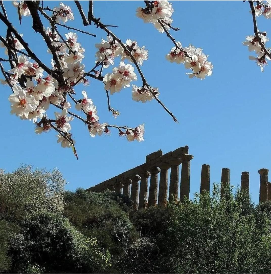 B&B Giunone Agrigento Værelse billede